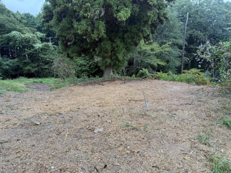 解体後の更地